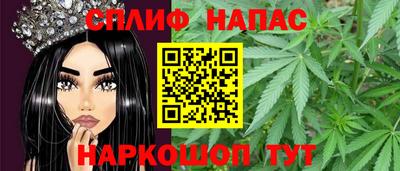 mdpv Гатчина