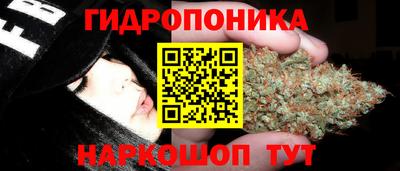 mdpv Гатчина