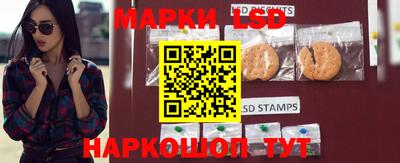 a pvp Гагарин