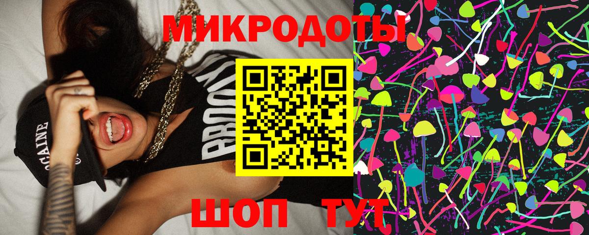 Галлюциногенные грибы Psilocybe Нижнеудинск