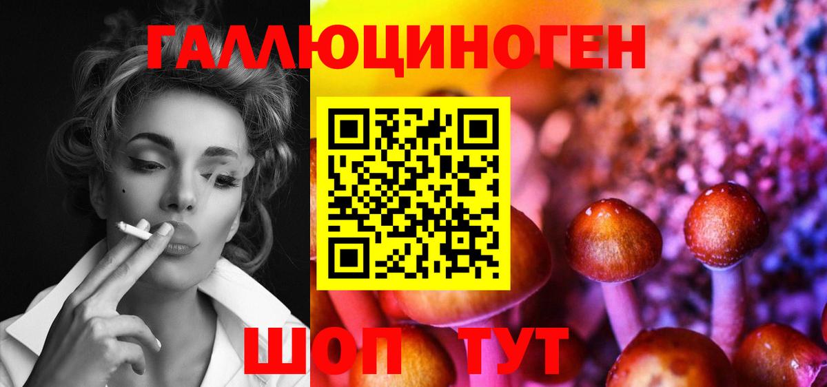 Псилоцибиновые грибы Magic Shrooms  Вход с VPN  Псилоцибиновые грибы Magic Shrooms  Нижнеудинск 